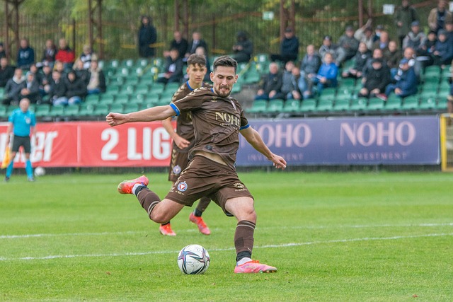 他们的整体 他们的整体