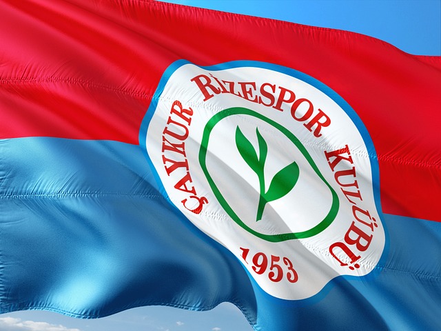 赛事的全球 赛事的全球